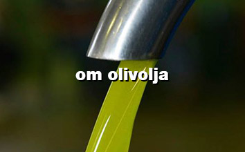 olivolja novello första olivoljan på säsongen