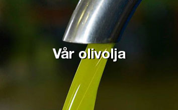 alma sicilia vår olivolja nypressad olivolja på presseriet