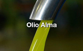 alma sicilia olio alma nypressad olivolja på presseriet